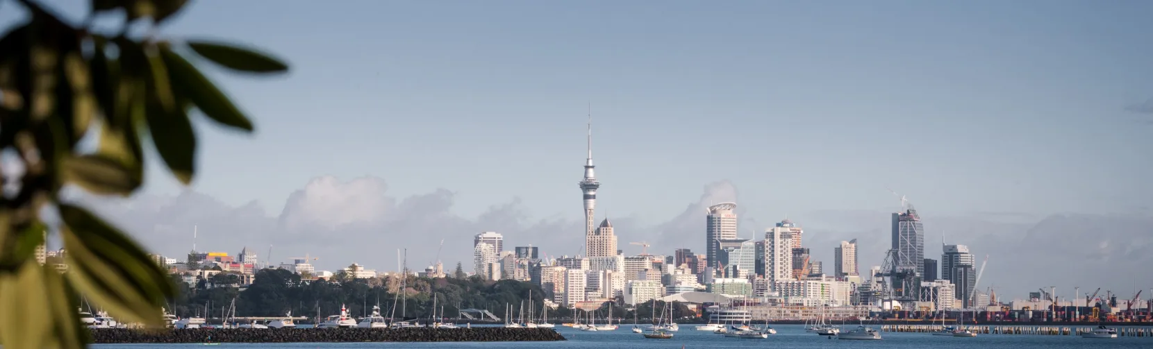 Auckland city skyline viewed from Tamaki Drive