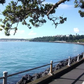 Scenic view of Auckland’s Tamaki Drive coastline with clear blue water, trees, and city sights
