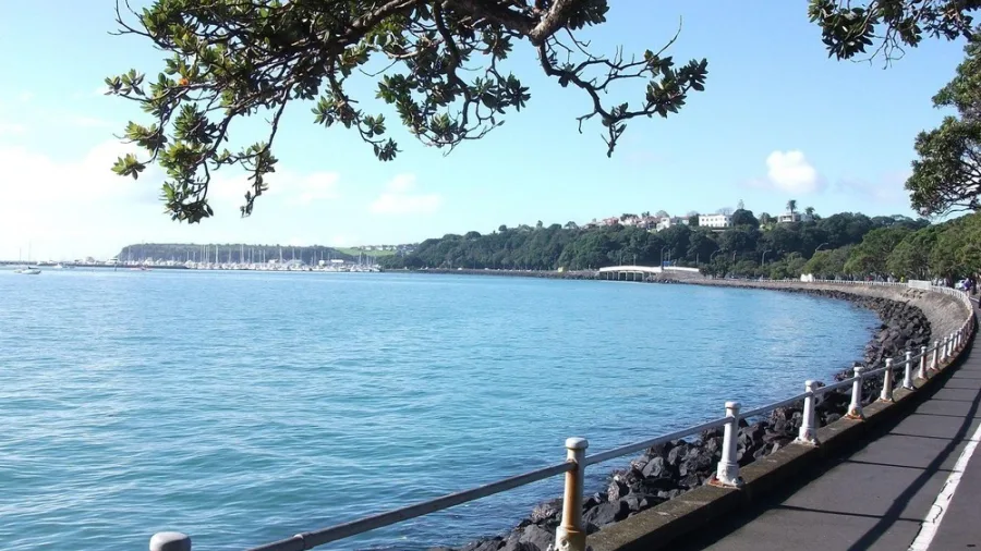 Scenic view of Auckland’s Tamaki Drive coastline with clear blue water, trees, and city sights