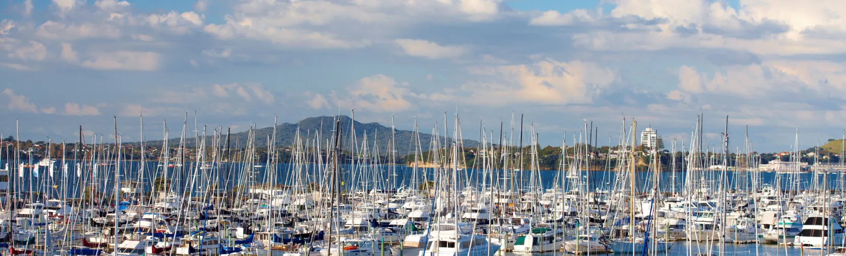 Westhaven Marina with Rangitoto Island in Auckland Harbour