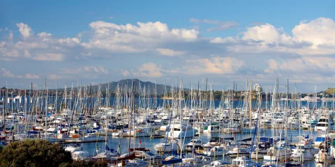 Westhaven Marina with Rangitoto Island in Auckland Harbour