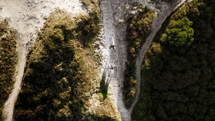Aerial view of surfers on footpath to Great Barrier Island beach