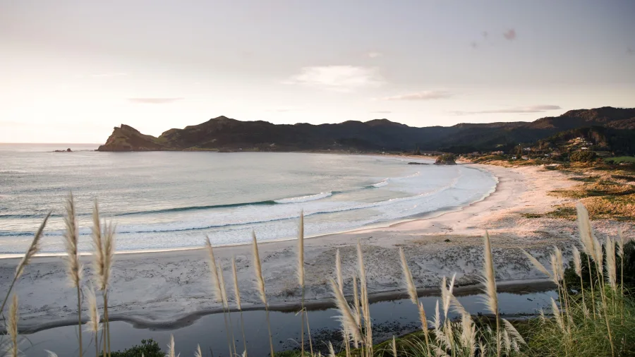 Medlands Beach on Great Barrier Island Auckland