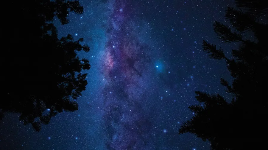 Milky Way over Great Barrier Island Dark Sky Sanctuary