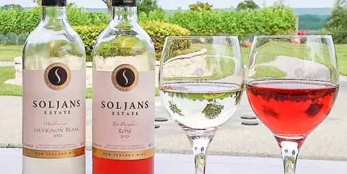 Soljans Estate Winery wine tasting – Sauvignon Blanc and Rosé with vineyard view in Kumeu Wine Country, near Auckland, New Zealand.