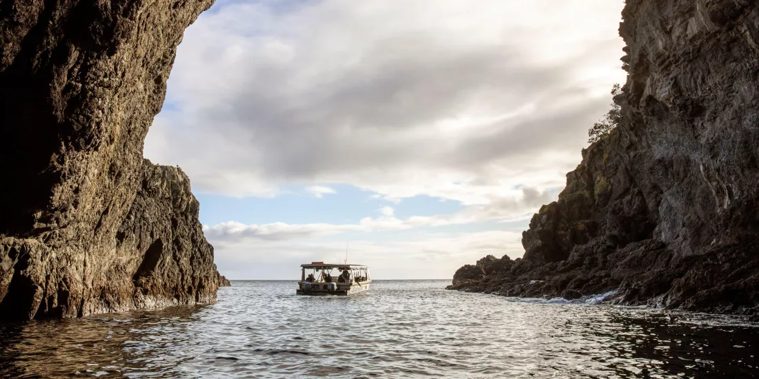 Boat at Goat Island on Matakana Coast
