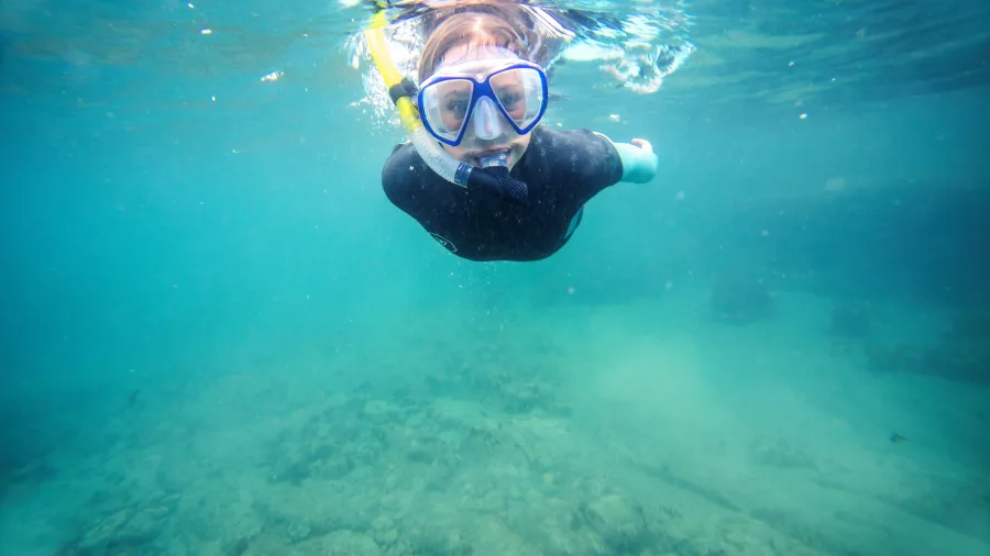 Person snorkelling at Goat Island Matakana Coast