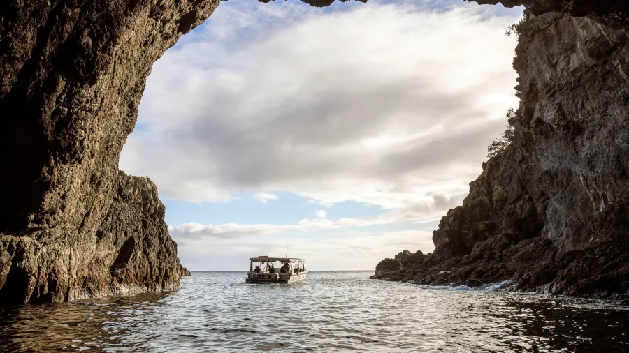 Boat at Goat Island on Matakana Coast