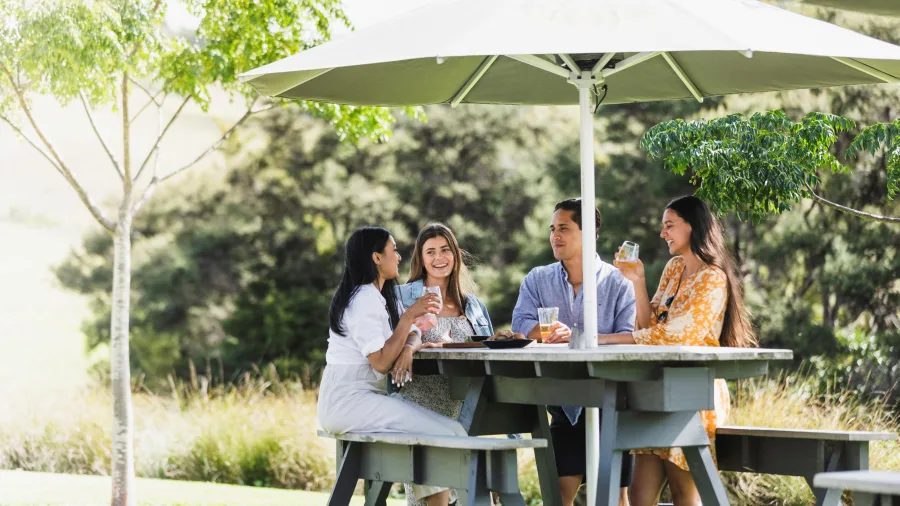 Friends having lunch outdoors in Matakana