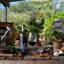 Guests enjoying a guided afternoon winery tour, sampling wines and learning about local artisan production methods.