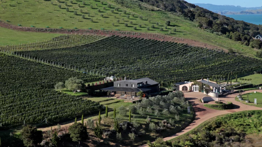Aerial view of Poderi vineyard estate nestled on a lush green hillside in the afternoon
