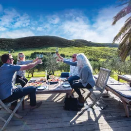 Group of people gathering for wine tasting and gourmet platters at Stonyridge Vineyard on Waiheke Island