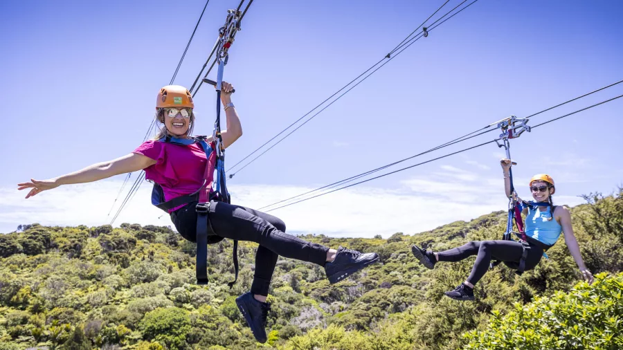 Two people ziplining side-by-side over the native forest at EcoZip Waiheke, experiencing an eco adventure in scenic island wine country
