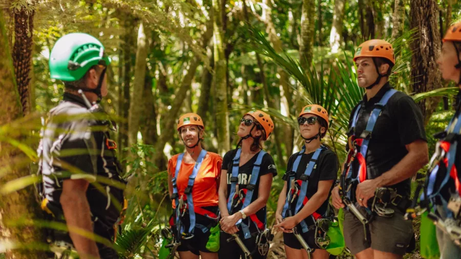 EcoZip Waiheke guide instructs a small group in helmets and vests, surrounded by native forest, preparing for zipline adventure
