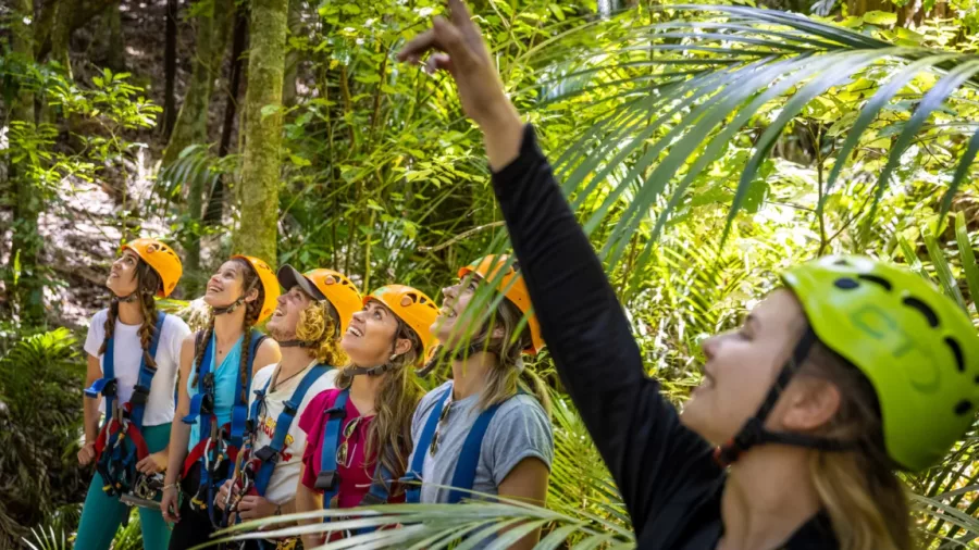 EcoZip guide leading a group on Waiheke Island’s native forest interpretive walk in New Zealand