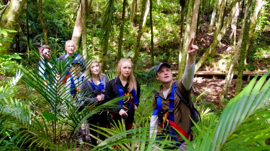 Guests enjoying the interpretive native forest walk at EcoZip on Waiheke Island, New Zealand