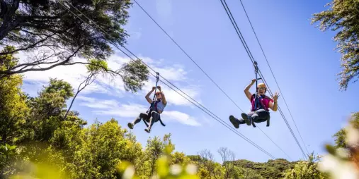 Two people ziplining side-by-side above native forest canopy and vineyards at EcoZip Waiheke Island during a small group eco adventure