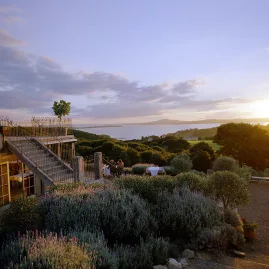 Panoramic landscape view from Ecozip zipline platform on Waiheke Island