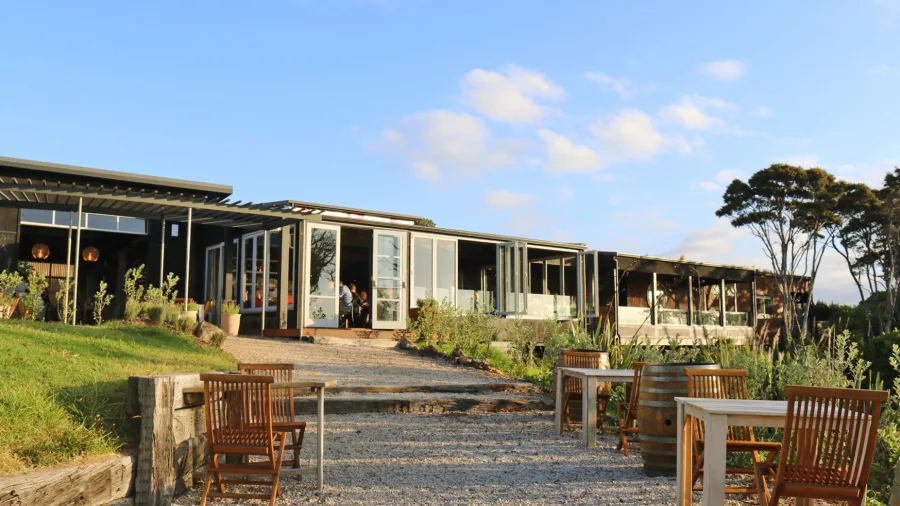 Batch Winery on Waiheke Island with outdoor seating, scenic landscape, and sunlit vineyard views on an Island Aviation wine tour