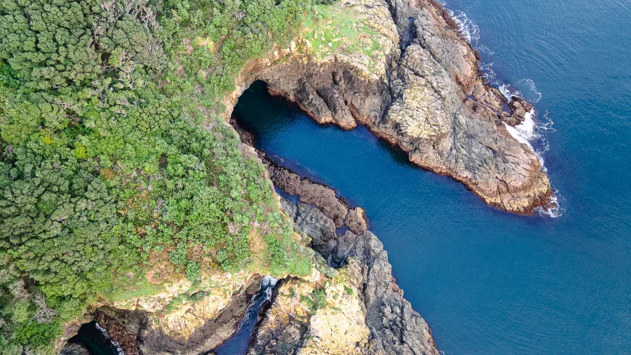 Aerial view of Goat Island’s coastline with clear waters and rocky shores
