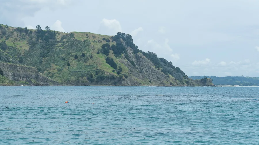 Three divers relaxing on rocks by Goat Island Marine Reserve, Auckland, New Zealand.
