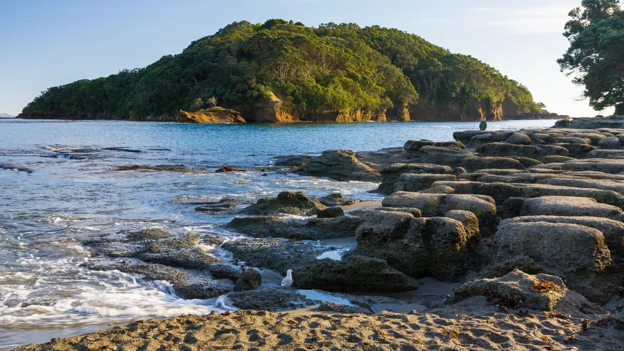 Clear blue waters and rocky shoreline at Goat Island Marine Reserve
