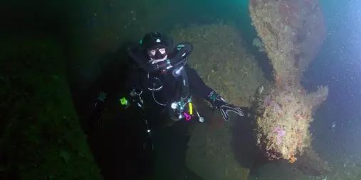 Scuba diver investigates the HMNZS Tui and Waikato shipwreck on a New Zealand Diving charter near Tutukaka Coast.