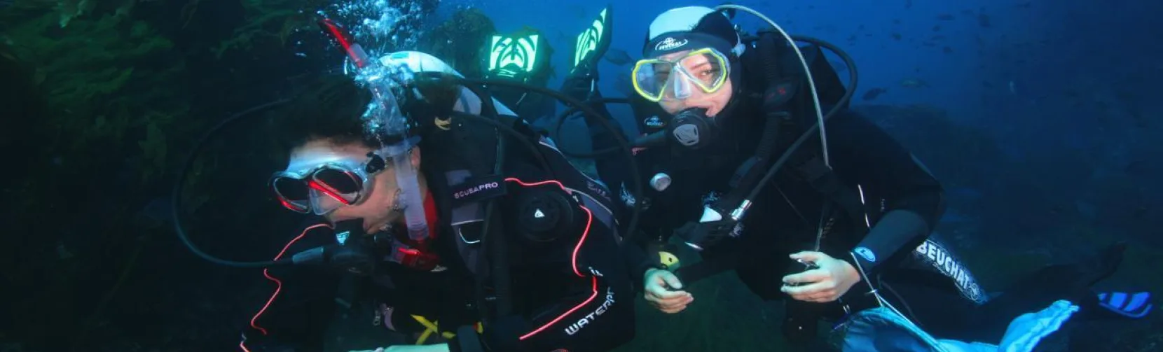 Two scuba divers exploring underwater scenery at Little Barrier Island during a New Zealand Diving charter near Auckland.