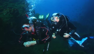 Two scuba divers exploring underwater scenery at Little Barrier Island during a New Zealand Diving charter near Auckland.