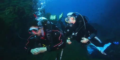 Two scuba divers exploring underwater scenery at Little Barrier Island during a New Zealand Diving charter near Auckland.