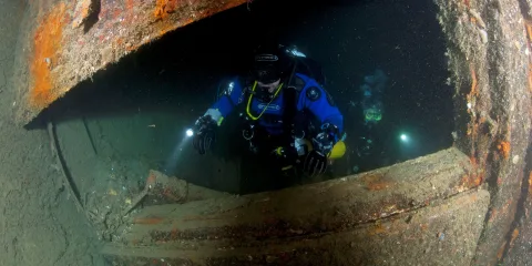 Scuba diver explores the MS Mikhail Lermontov shipwreck during a New Zealand Diving charter in Marlborough Sounds.