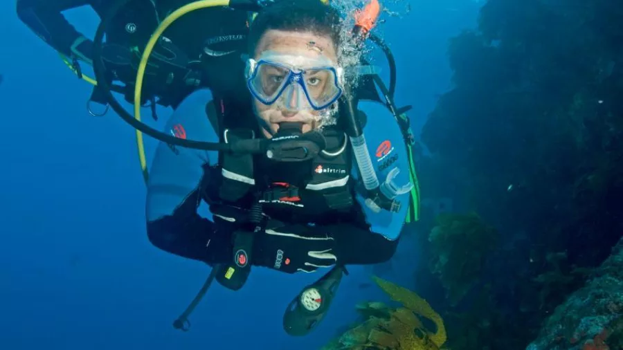 Scuba divers exploring underwater caves and vibrant marine life at the Poor Knights Islands, New Zealand Diving charter site.