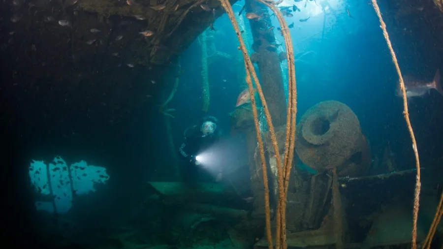 Scuba diver with flashlight exploring inside the Rainbow Warrior wreck during a New Zealand Diving charter at Matauri Bay.