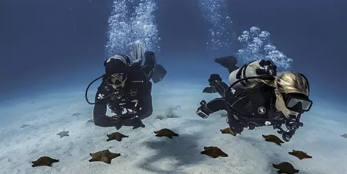 SDI Open Water divers swimming in formation through clear blue water