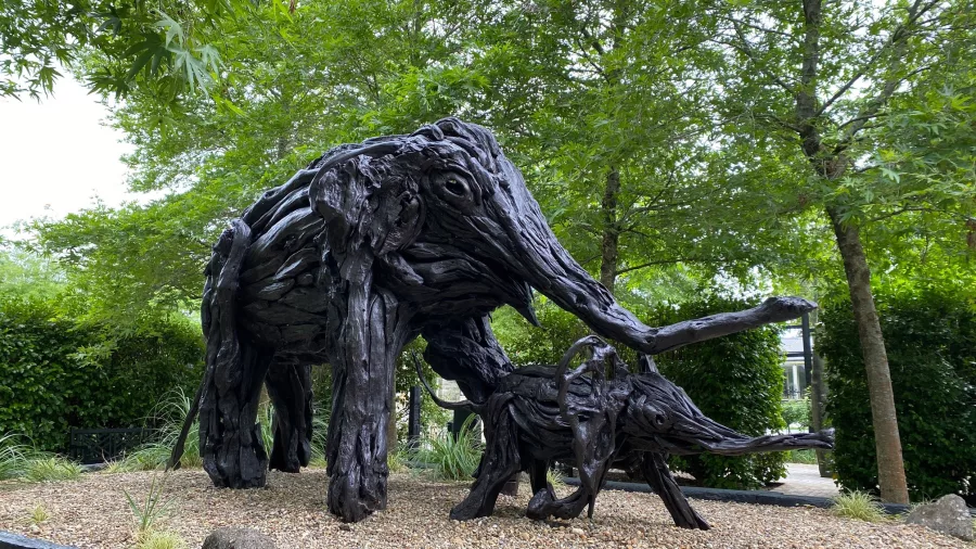 Life-size wooden elephant and calf sculptures in the Sculptureum gardens Matakana New Zealand