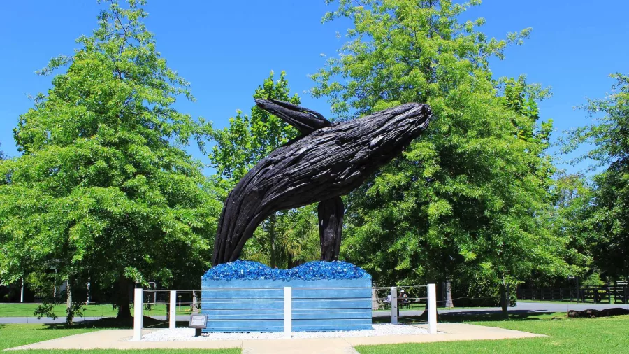 Life-size whale sculpture rising above blue glass waves in Sculptureum gardens Matakana New Zealand