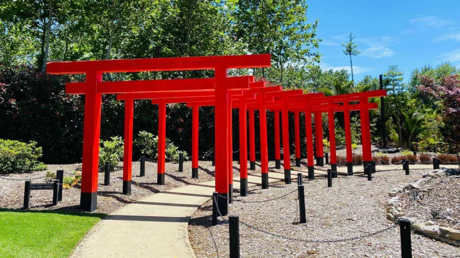 The Tori Tunnel art installation with red torii gates at Sculptureum in Matakana, New Zealand