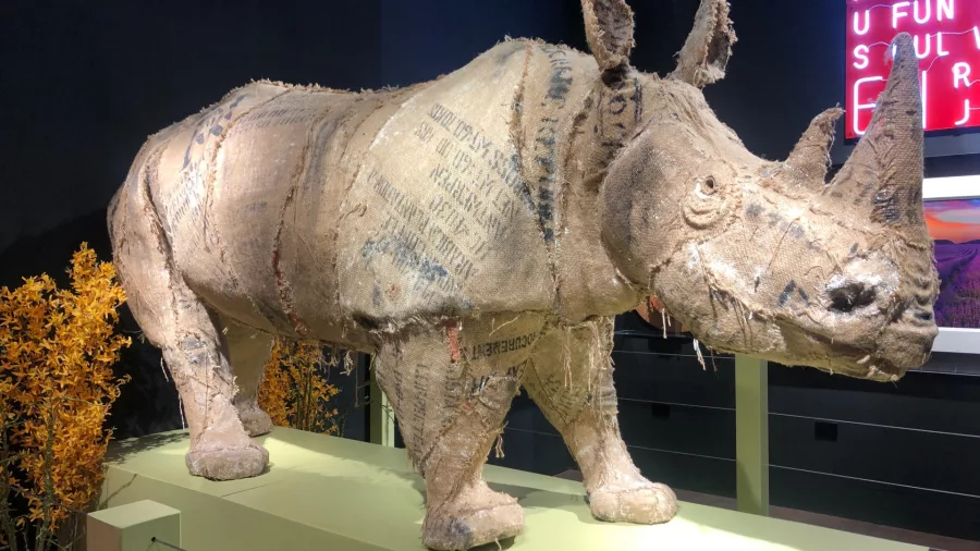 Life-size rhinoceros sculpture created from textured burlap on display at Sculptureum Matakana
