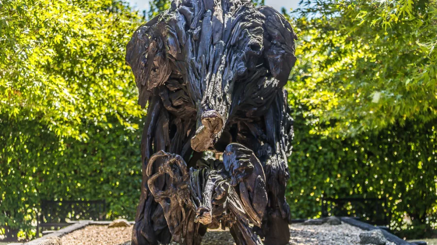Impressive driftwood elephant sculpture displayed in the Sculptureum gardens, Matakana, New Zealand.