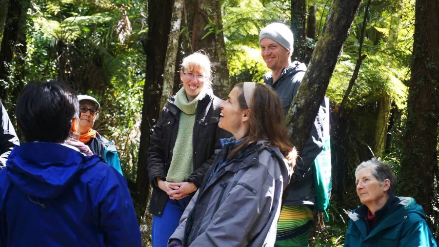 Group participating in a private forest therapy session, walking together in native bush