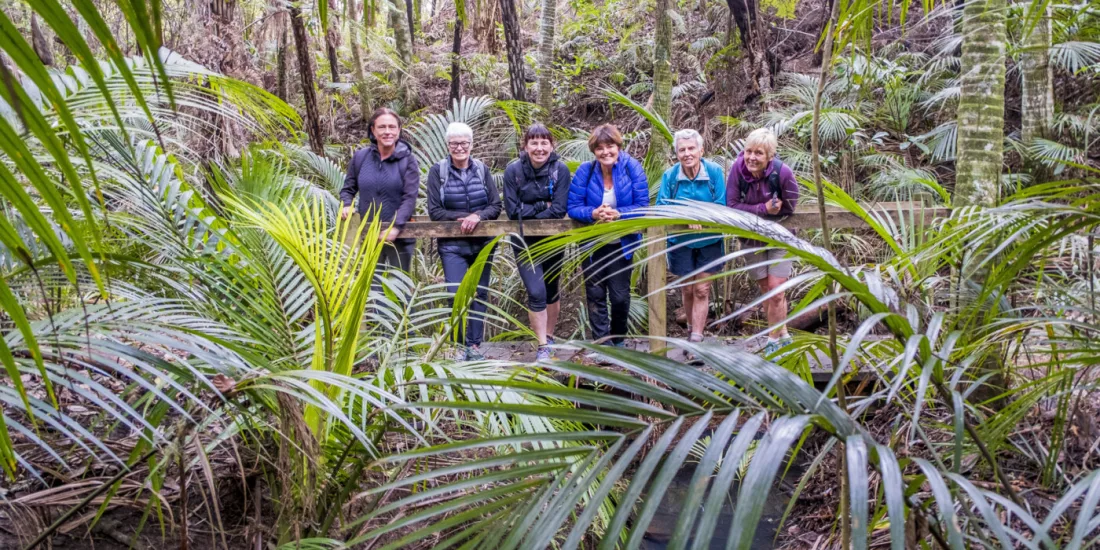 Private guided walk along the coastal section of Te Ara Hura trail on Waiheke Island