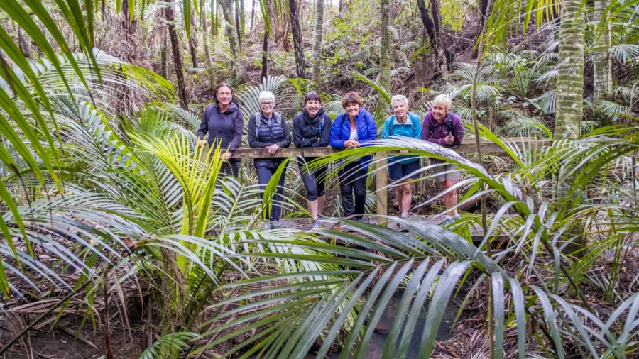 Private guided walk along the coastal section of Te Ara Hura trail on Waiheke Island