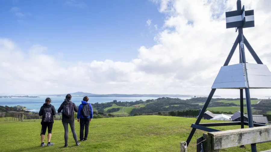 Hiker enjoying a private section of the Te Ara Hura trail through native forest on Waiheke Island