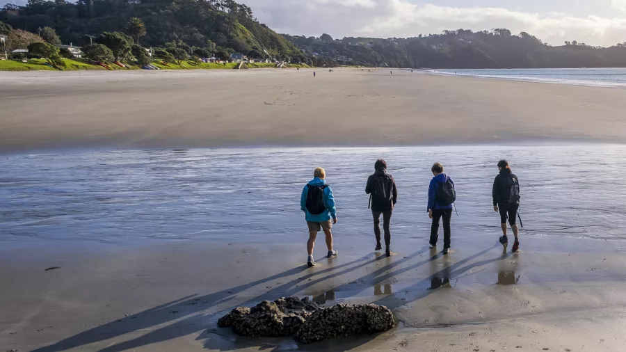 Scenic coastal track along Te Ara Hura on a private guided walk in Waiheke Island