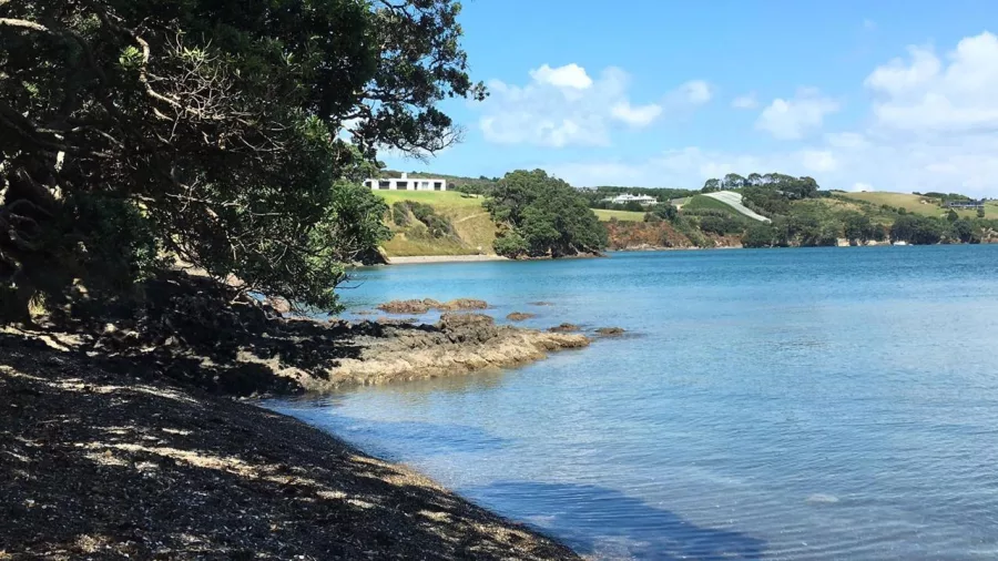 Scenic view of Te Miro Cove from the Te Ara Hura trail on a private Waiheke Island walk