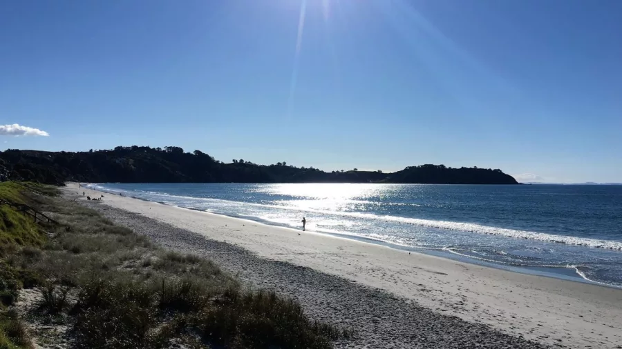 Peaceful moment on Waiheke’s Te Ara Hura beach walk during a private guided walk