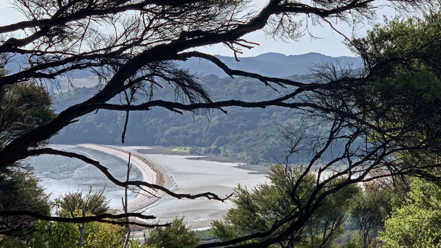 Tranquil view of Te Matuku Bay from the Te Ara Hura trail on a private Waiheke walk