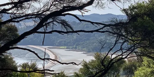 Tranquil view of Te Matuku Bay from the Te Ara Hura trail on a private Waiheke walk
