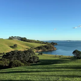 Scenic view along an art walk on Waiheke Island featuring outdoor installations and coastal landscape