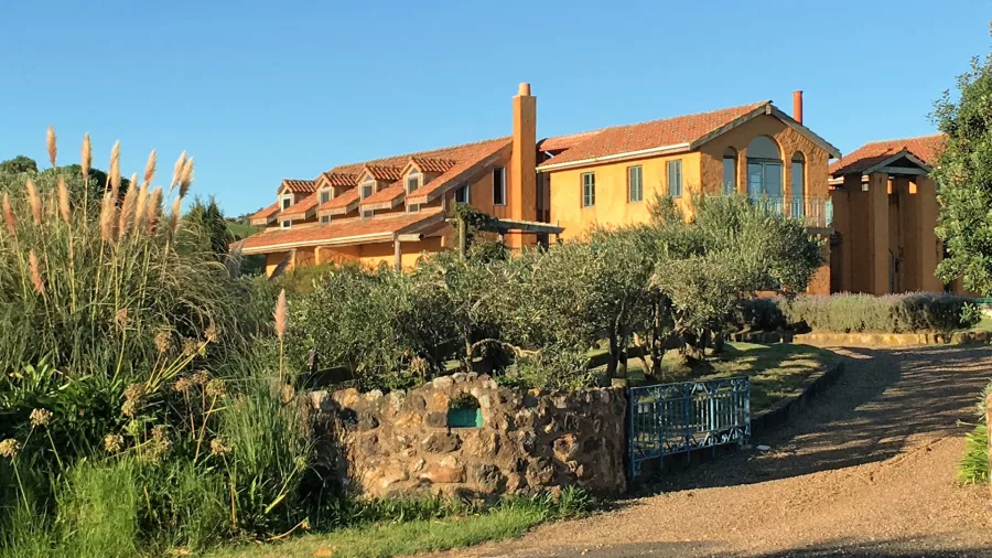 Lewenz Gallery on Waiheke Island, a Mediterranean-style artist’s residence among olive trees